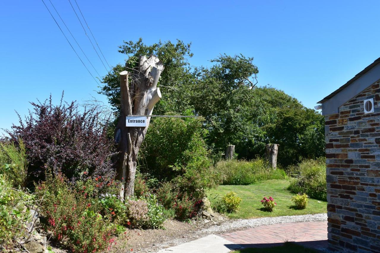 The Nook B&B Port Isaac Luaran gambar